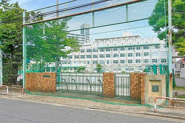 足立区立加賀中学校（約1,100m）