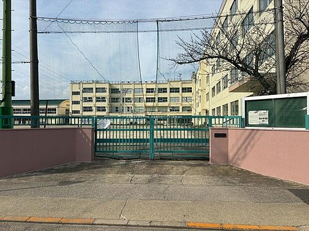 足立区立花畑北中学校（約300m）