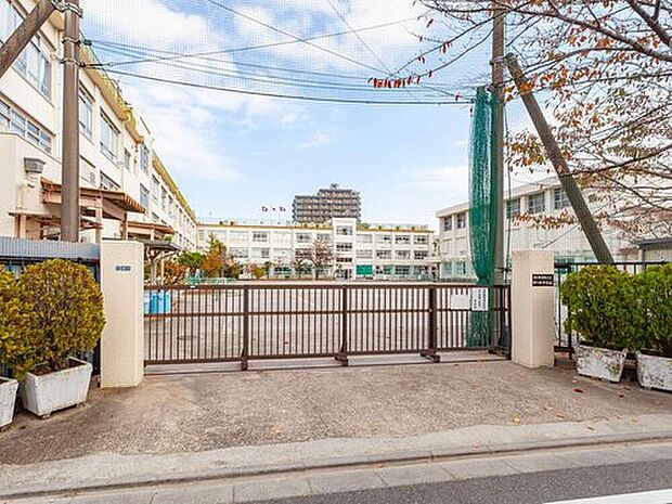 葛飾区立四ツ木中学校(約640m)