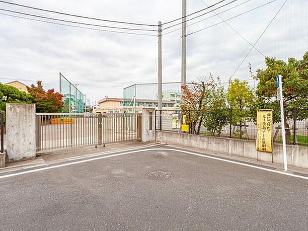 足立区立花畑中学校（約300m）