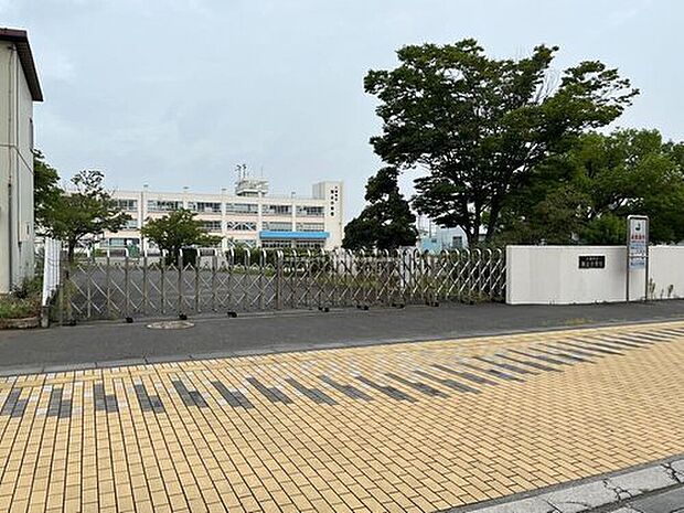 八潮市立潮止小学校（約800m）
