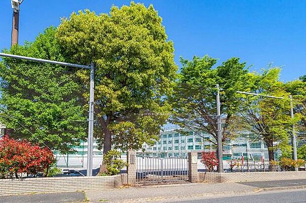 江戸川区立松江第四中学校（約1,000m）