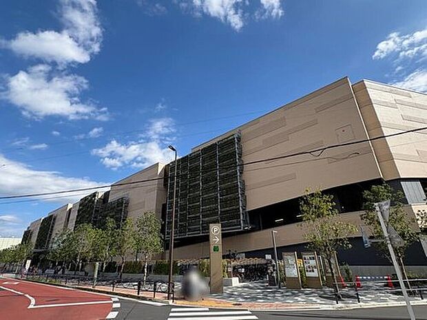 MARK IS葛飾かなまち(約1,100m)