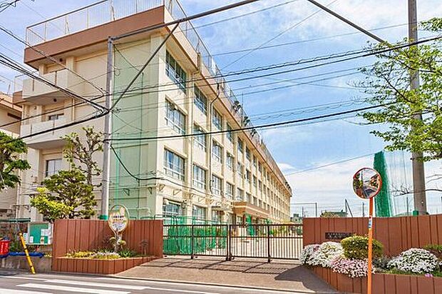 葛飾区立葛美中学校（約750m）