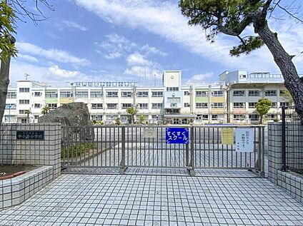 江戸川区立中小岩小学校 190ｍ(徒歩3分)