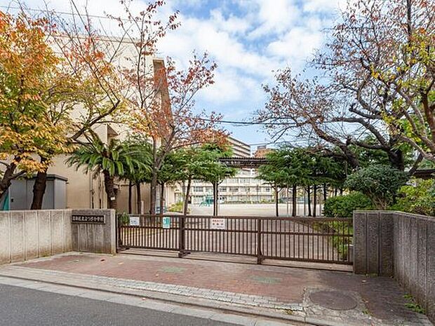 葛飾区立よつぎ小学校（約350m）