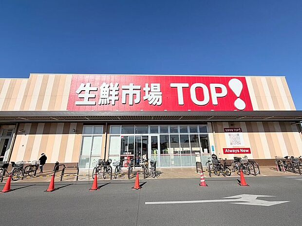 マミーマート生鮮市場TOP八潮伊草店(約1,400m)