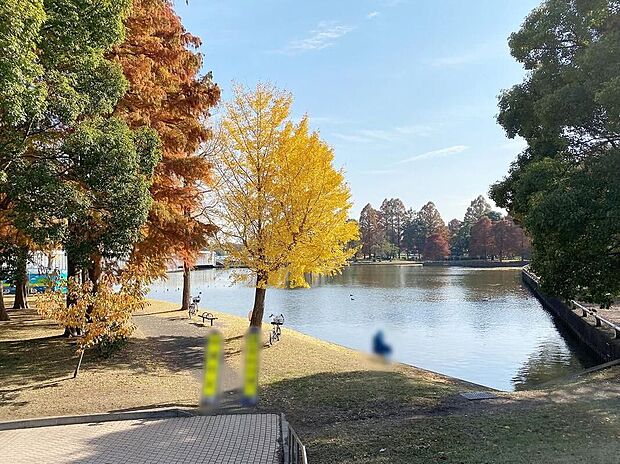 水元公園(約750m)