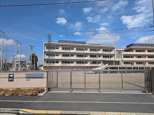 江戸川区立葛西小学校(約800m)