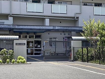 葛飾区立小合保育園 400m (徒歩5分)
