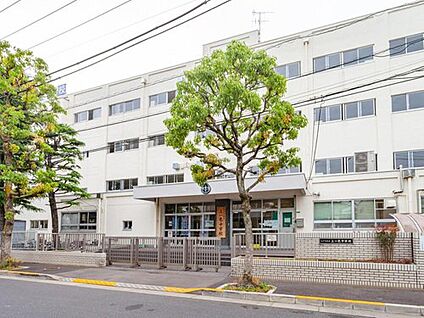 江戸川区立上一色中学校 900ｍ(徒歩12分)