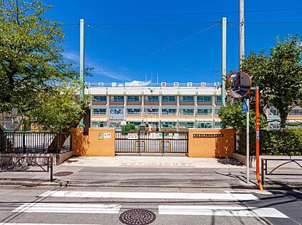 葛飾区立住吉小学校 300m(徒歩4分)