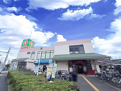 ライフ水元店 600ｍ(徒歩8分)