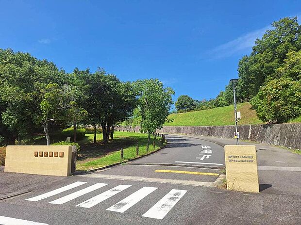 瀬戸市立にじの丘小学校まで480m