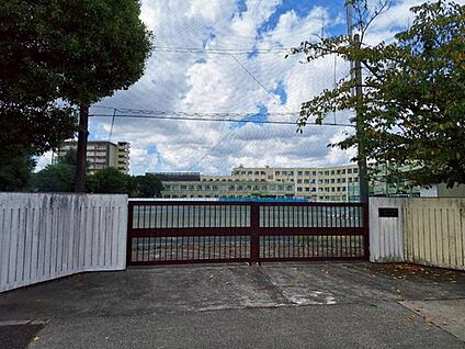 名古屋市立八王子中学校 700m(徒歩9分)