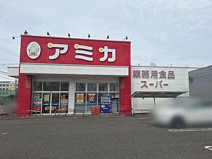 アミカ守山大森店 803m(徒歩11分)
