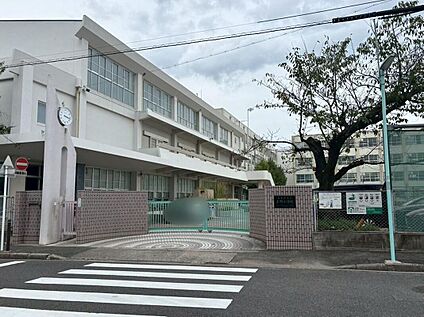 名古屋市立上野小学校 800m(徒歩10分)