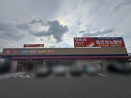 ツルハドラッグ岩野店 1200ｍ(徒歩15分)