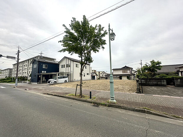 販売現地