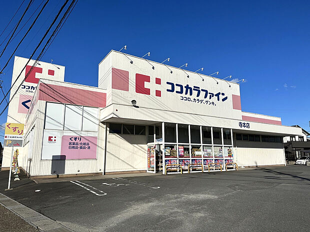 ココカラファイン寺本店（約800m）