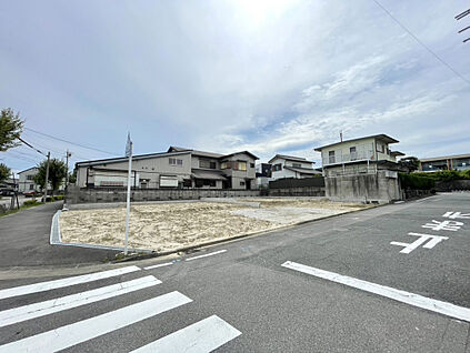 販売現地