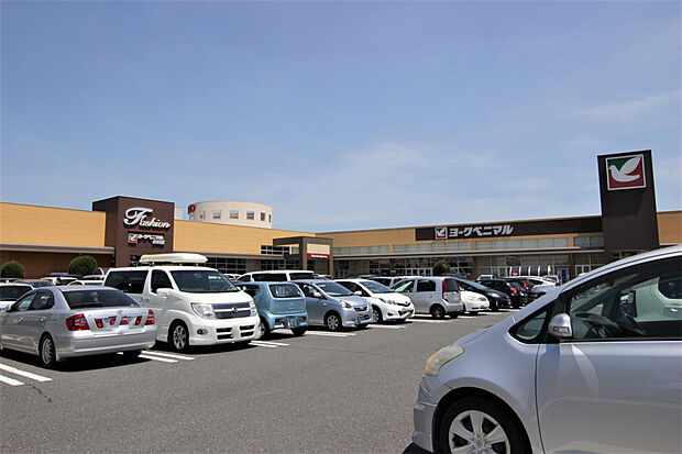 ヨークベニマル赤塚店（約615m）