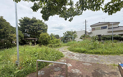 布佐霞立公園 197m