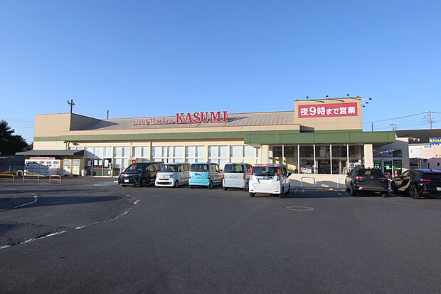カスミ高津店（約308m）