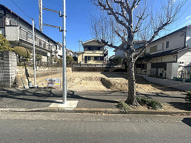 現地(土地)