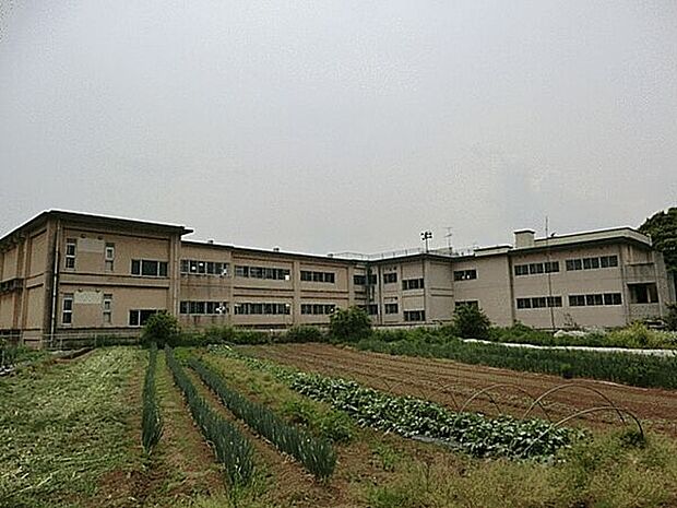 流山市立東部中学校(約1,484m)