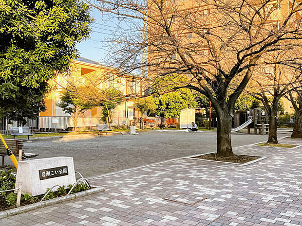 岩瀬こい公園(約852m)