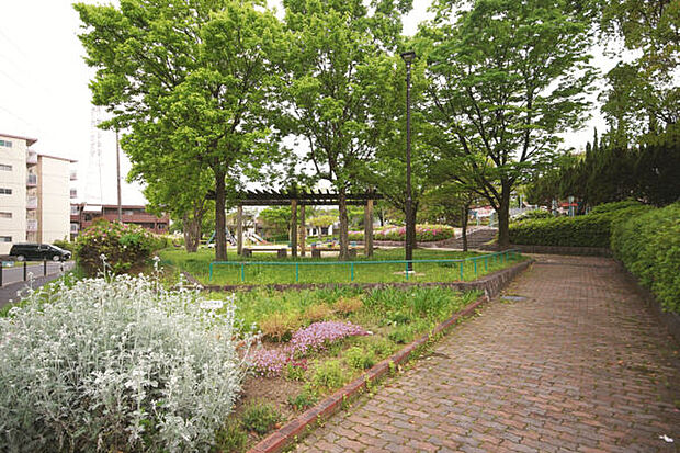 御前場公園(約922m)