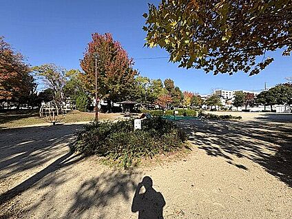 黒石北公園 128m