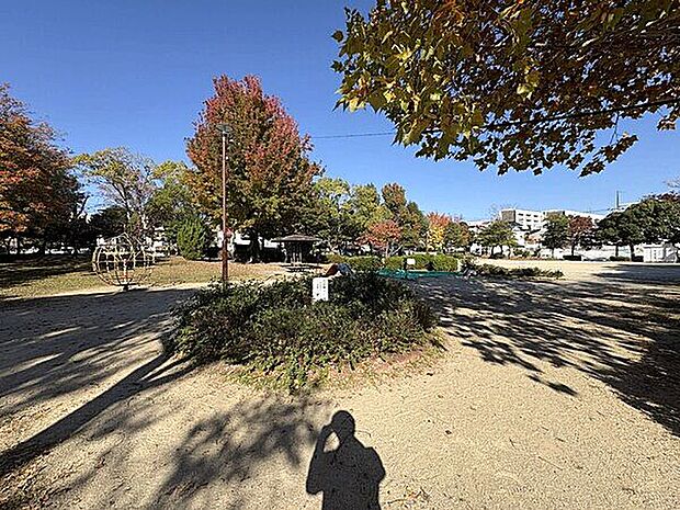 黒石北公園(約128m)