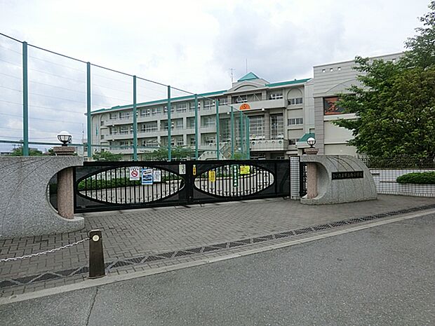 さいたま市立向小学校(約799m)