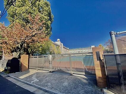 豊島区立さくら小学校 203m
