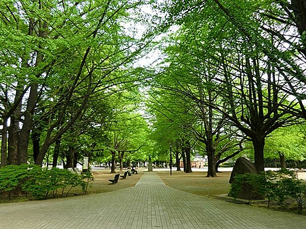 板橋区平和公園(約531m)