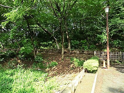 小塚山公園 1149m