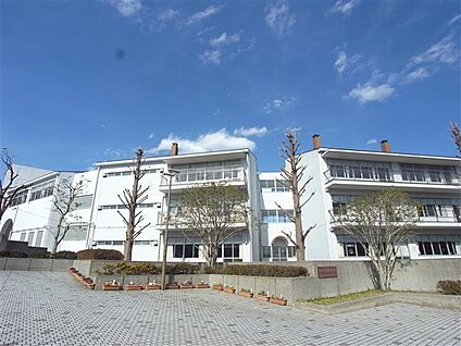 横浜市立本牧中学校 1422m
