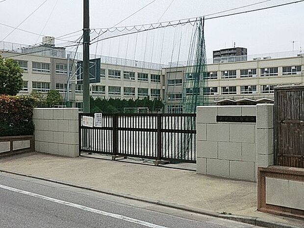 葛飾区立桜道中学校（約843m）