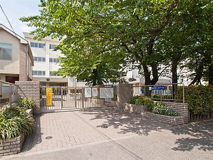 江戸川区立下鎌田東小学校 770m