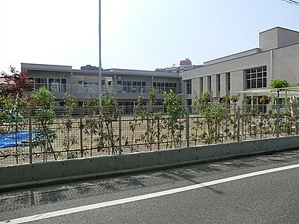 ばとうばし幼稚園 1166m