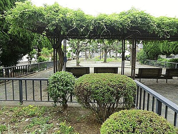 しいの木公園(約581m)