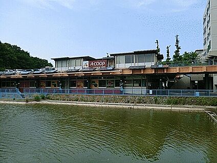 Aコープ 緑竹山店 1183m