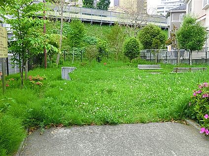 高ヶ坂わさび田公園 1558m