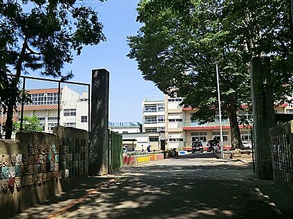 川口市立神根小学校 664m