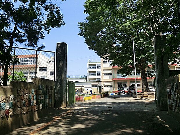 川口市立神根小学校(約664m)