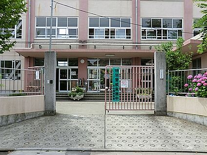 足立区立渕江第一小学校 1161m