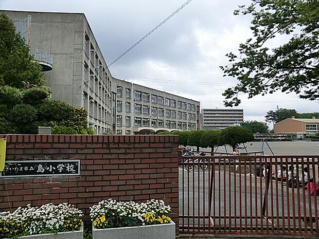 さいたま市立島小学校（約579m）