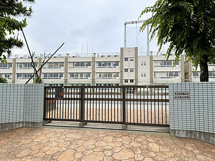 葛飾区立上小松小学校 265m